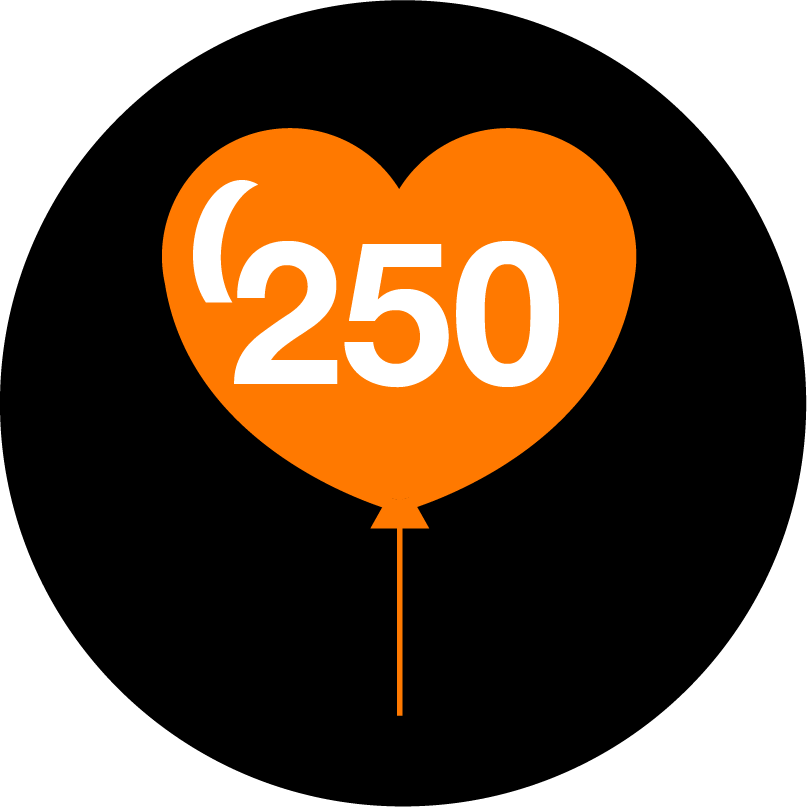 250 soluții oferite
