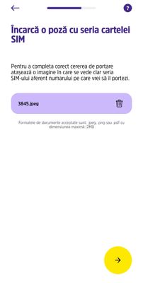 3847.jpg