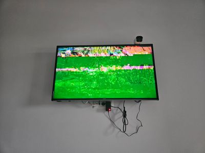 1000113678.jpg