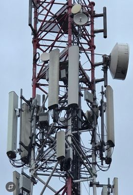 Screenshot_20251121_091850_Gallery (1).jpg