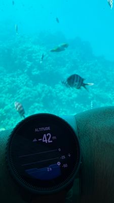 IMG_0041.jpeg