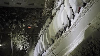 7533.jpg