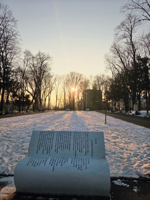 1000173905.jpg