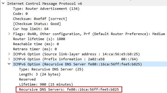 IPv6 RA ONT ZTE.PNG