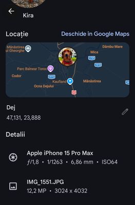 6995.jpg