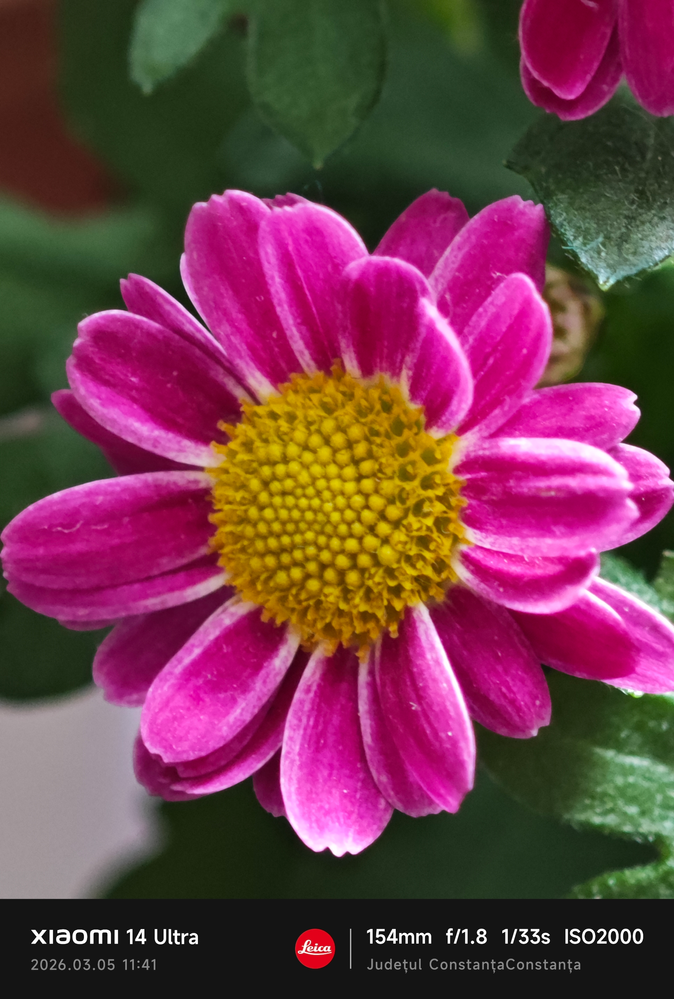 MVIMG_20260305_114119.png