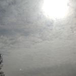 IMG_20260316_124619.jpg