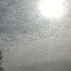 IMG_20260316_124619.jpg