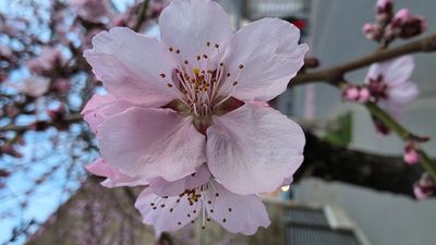 10699.jpg