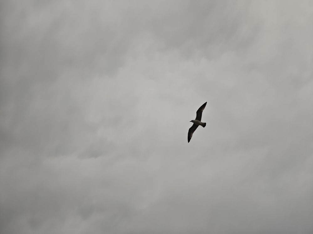 10292_edited.jpeg
