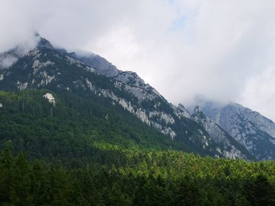 12852.jpg