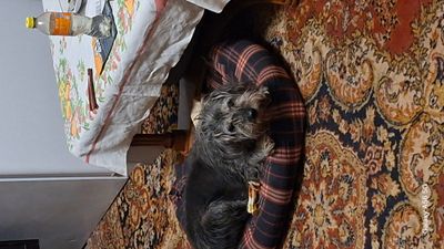 20260424_210750.jpg