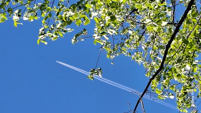 20260426_140210.jpg