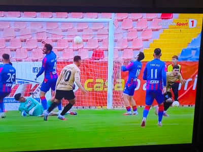 1000089511.jpg