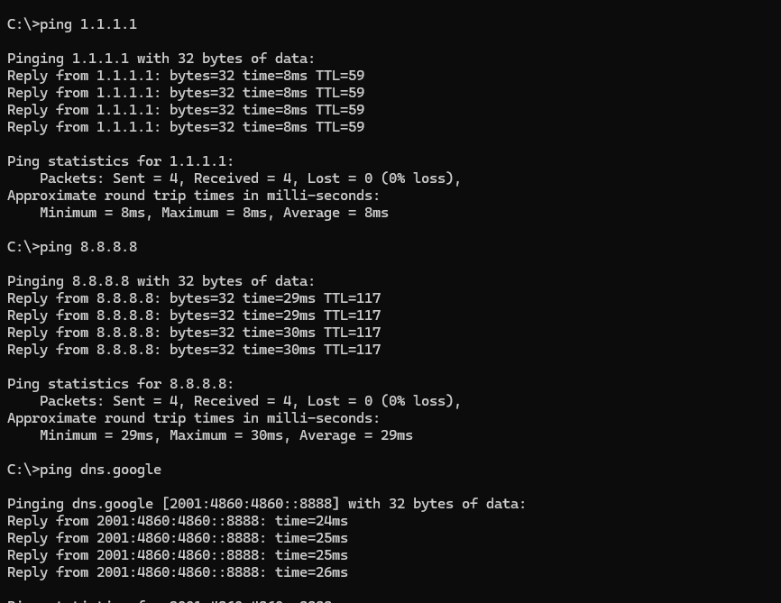 ping DNS.png