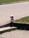 IMG_20260529_130226_166.jpg