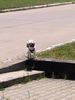 IMG_20260529_130226_166.jpg