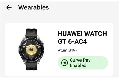 Watch pay.jpg