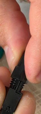 20260626_180249.jpg