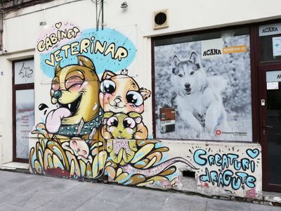 IMG_20180713_171812.jpg