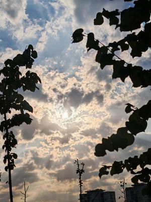 shared image (11).jpg