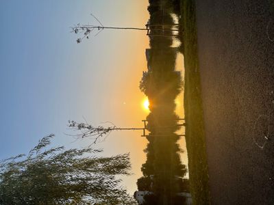 IMG_7423.jpeg