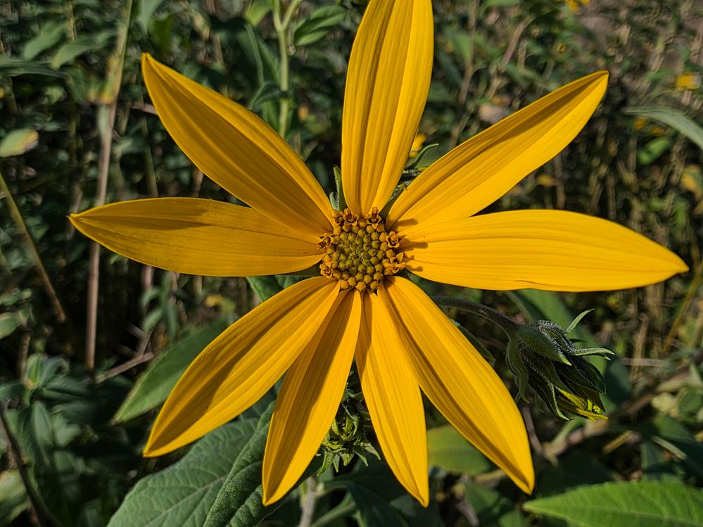 20260919_162850.jpg