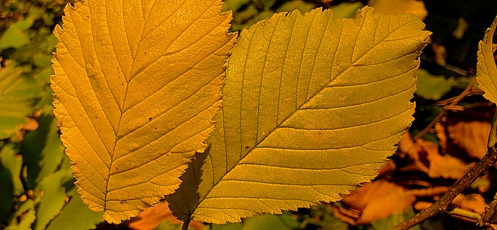 20261002_184312.jpg