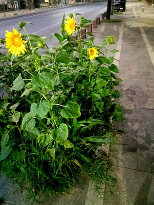 IMG_20230706_140634.jpg