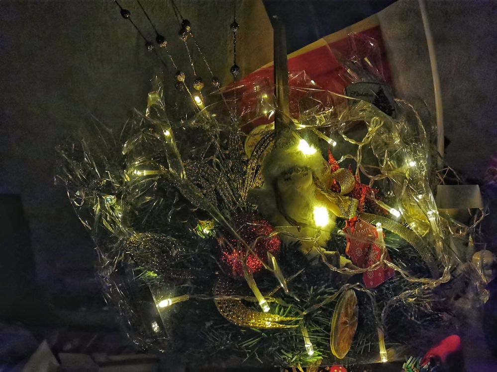 WhatsApp Image 2023-12-25 at 02.23.15.jpeg