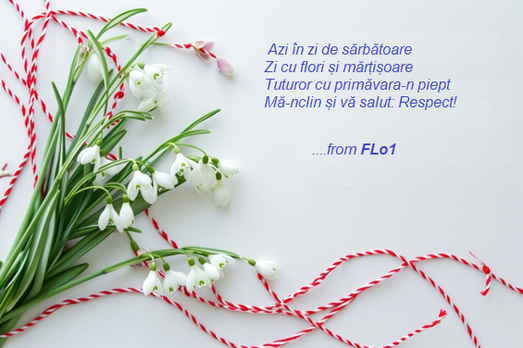 FLo1_0-1709286215221.png