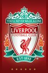 liverpool-fc-crest-i85392 (1).jpg