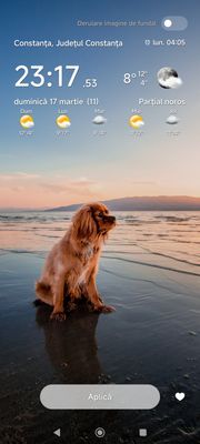 Screenshot_2024-03-17-23-18-28-453_com.android.thememanager.jpg