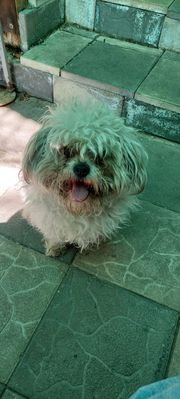 WhatsApp Image 2024-03-24 at 10.54.35.jpeg