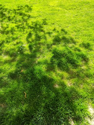 IMG_20240403_151145.jpg