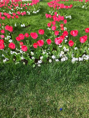 IMG_20240403_153154.jpg