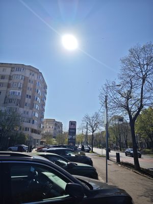 IMG_20240405_104119.jpg