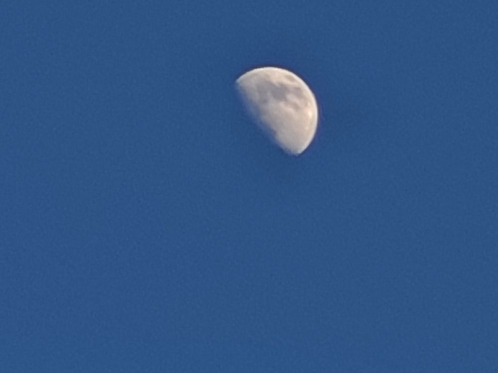 20230429_193530.jpg