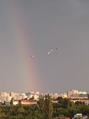1000044658.jpg