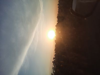 20240625_061458.jpg