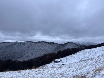 IMG_6615.jpeg