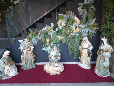 IMG_20241218_101633.jpg