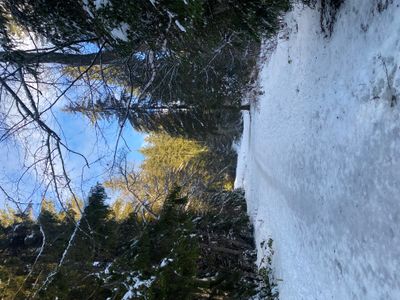 IMG_8140.jpeg