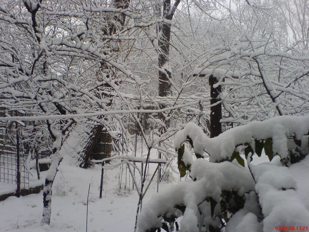 DSC00298.JPG