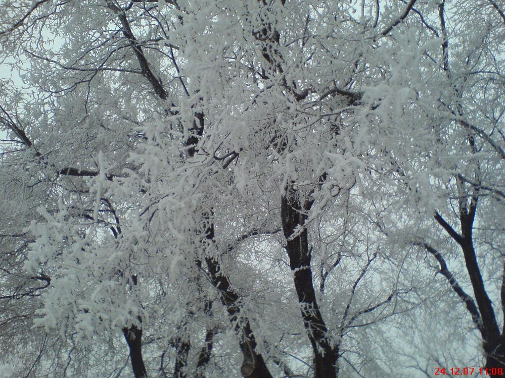 DSC03083.jpg