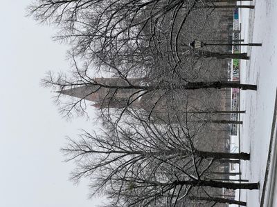 IMG_9136.jpeg