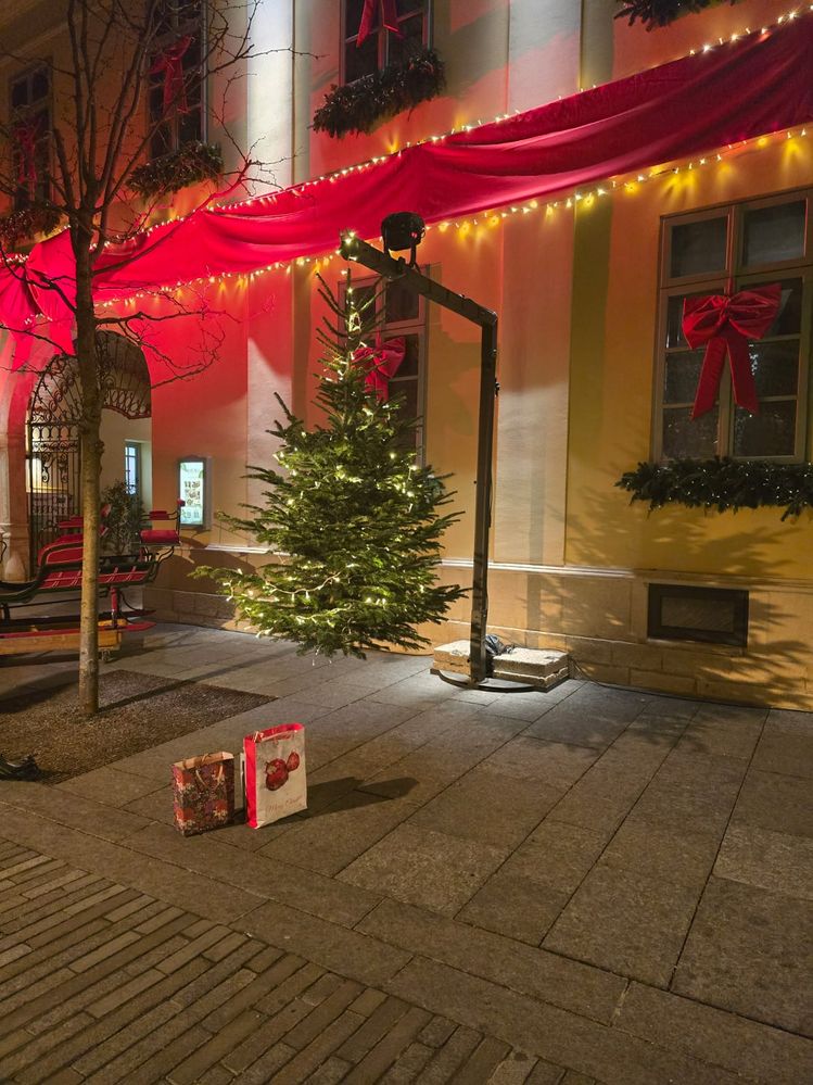 WhatsApp Image 2024-12-30 at 11.38.26.jpeg