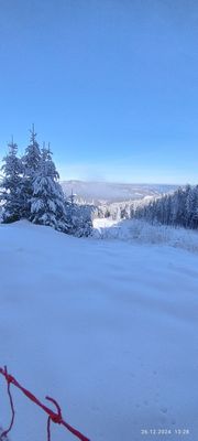 IMG_20241226_132848_1.jpg