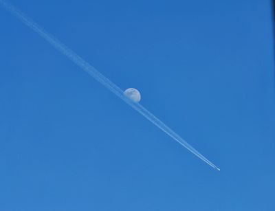 1000064874.jpg